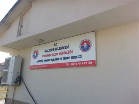 maltepe belediyesi veteriner kliniği